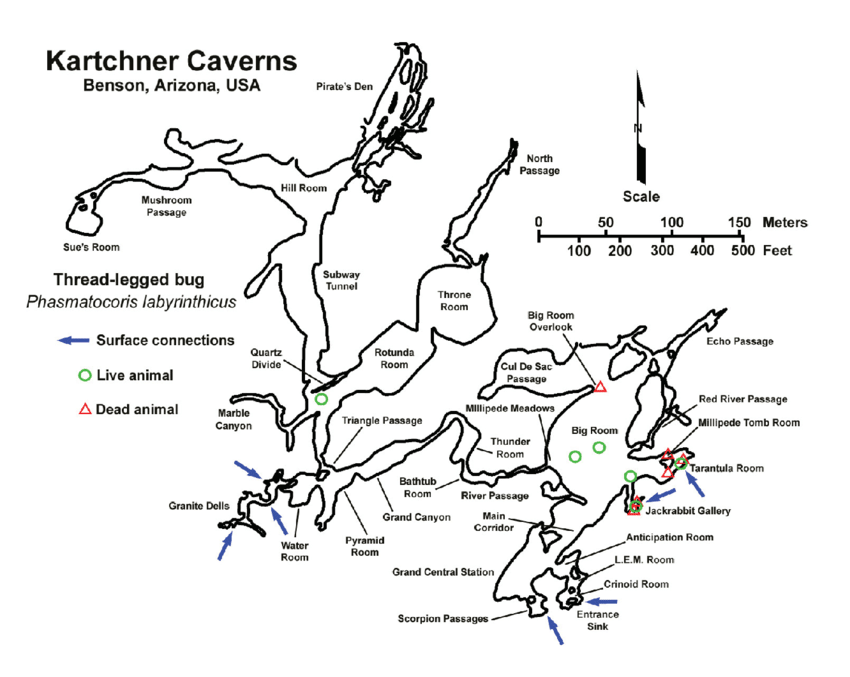 Kartchner Caverns Tours