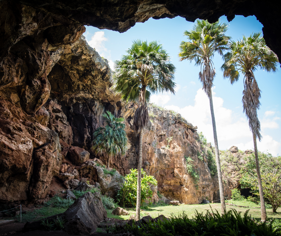 Best Caves in Hawaii