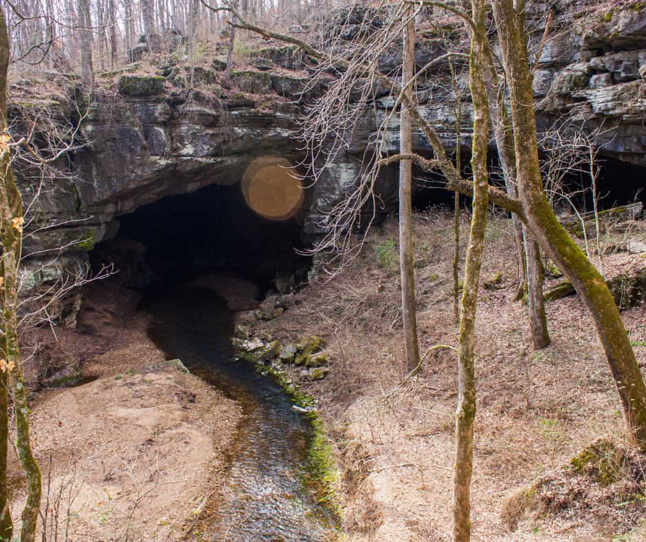 Bat caves in Alabama