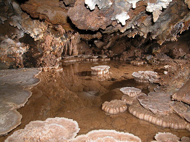 History of Black Chasm Cavern 
