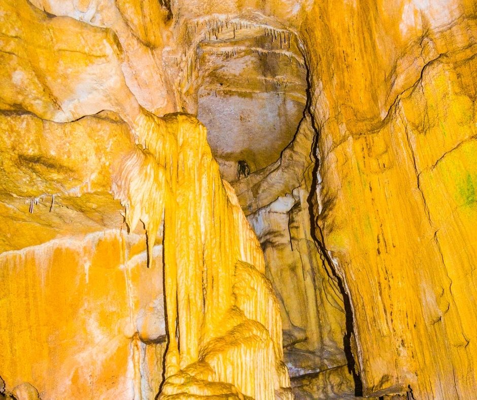 Ultimate Guide to Crystal Cave, California (Tours, Pricing, History, Map)