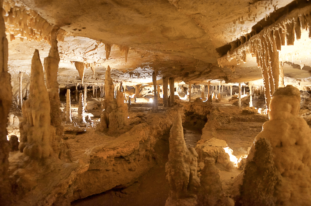 Ultimate Guide to Marengo Cave, Indiana (Tours, Pricing, History, Map)