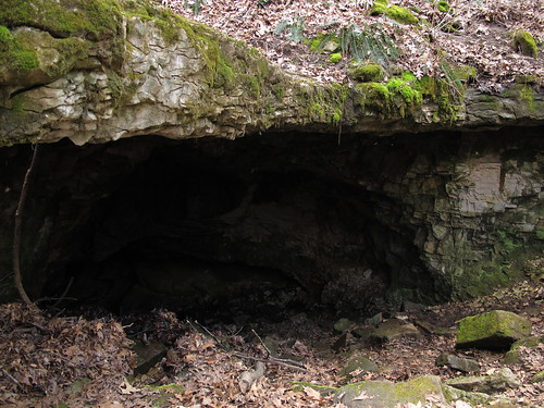 Ultimate Guide to Buckner Cave, Indiana (Tours, Pricing, History, Map)