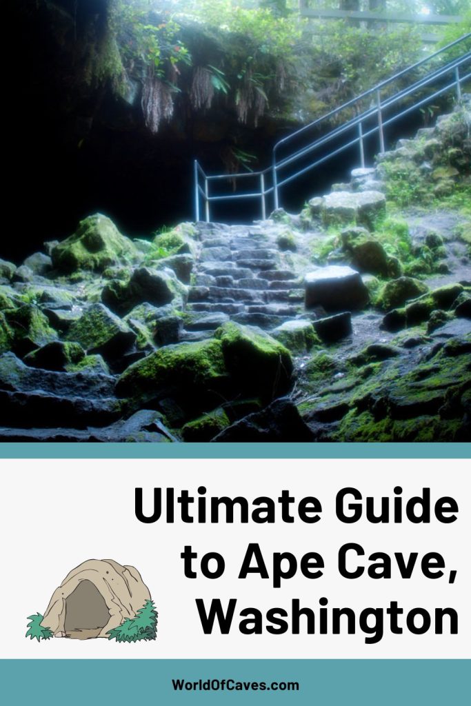 Ultimate Guide to Ape Cave Cover Image