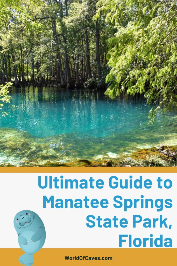Ultimate Guide to Manatee Springs State Park Cover Image