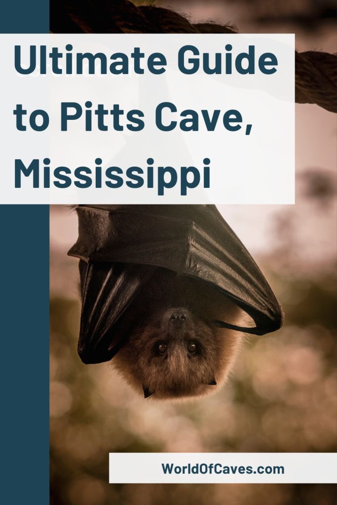 Ultimate Guide to Pitts Cave Cover Image