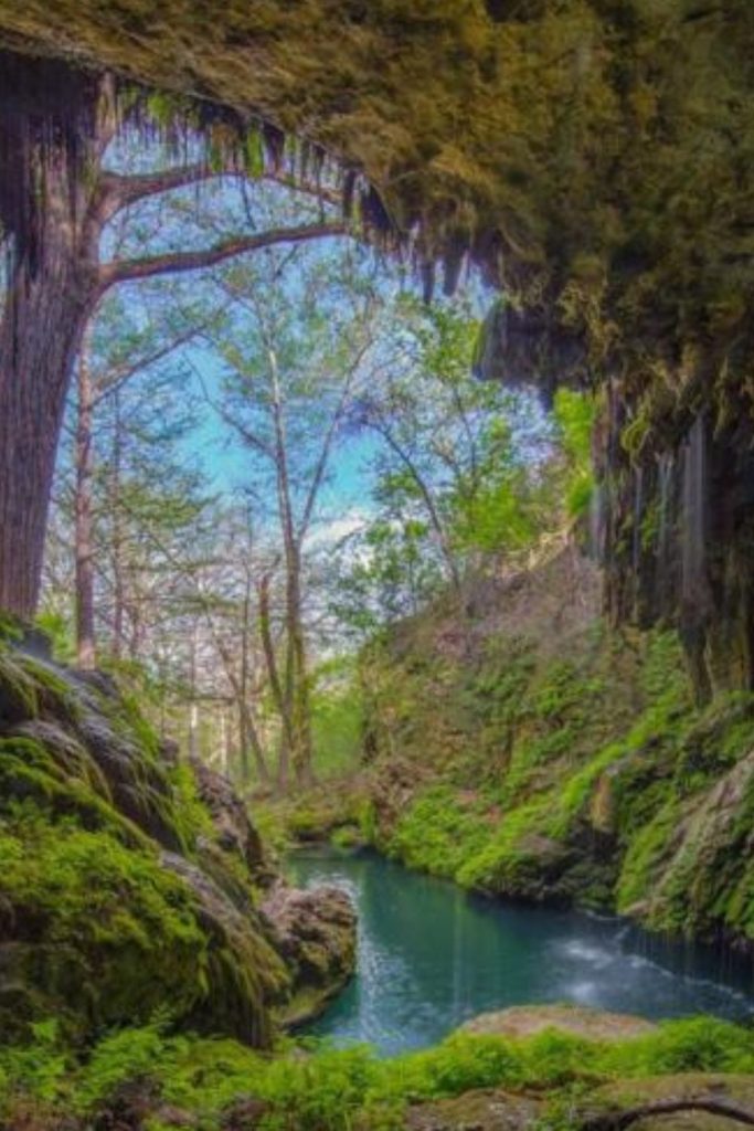 Ultimate Guide to Westcave Preserve, Texas (Tours, Pricing, History, Map)