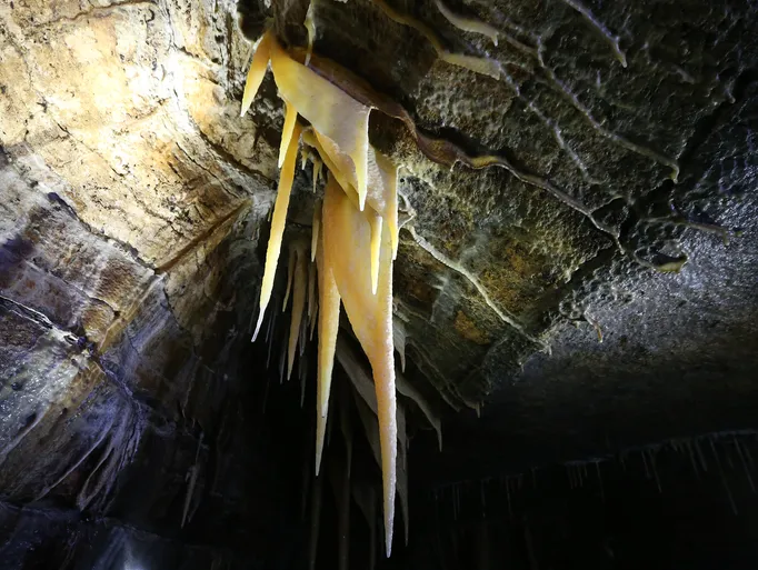 Ultimate Guide to Coldwater Cave, Iowa (Tours, Pricing, History, Map)